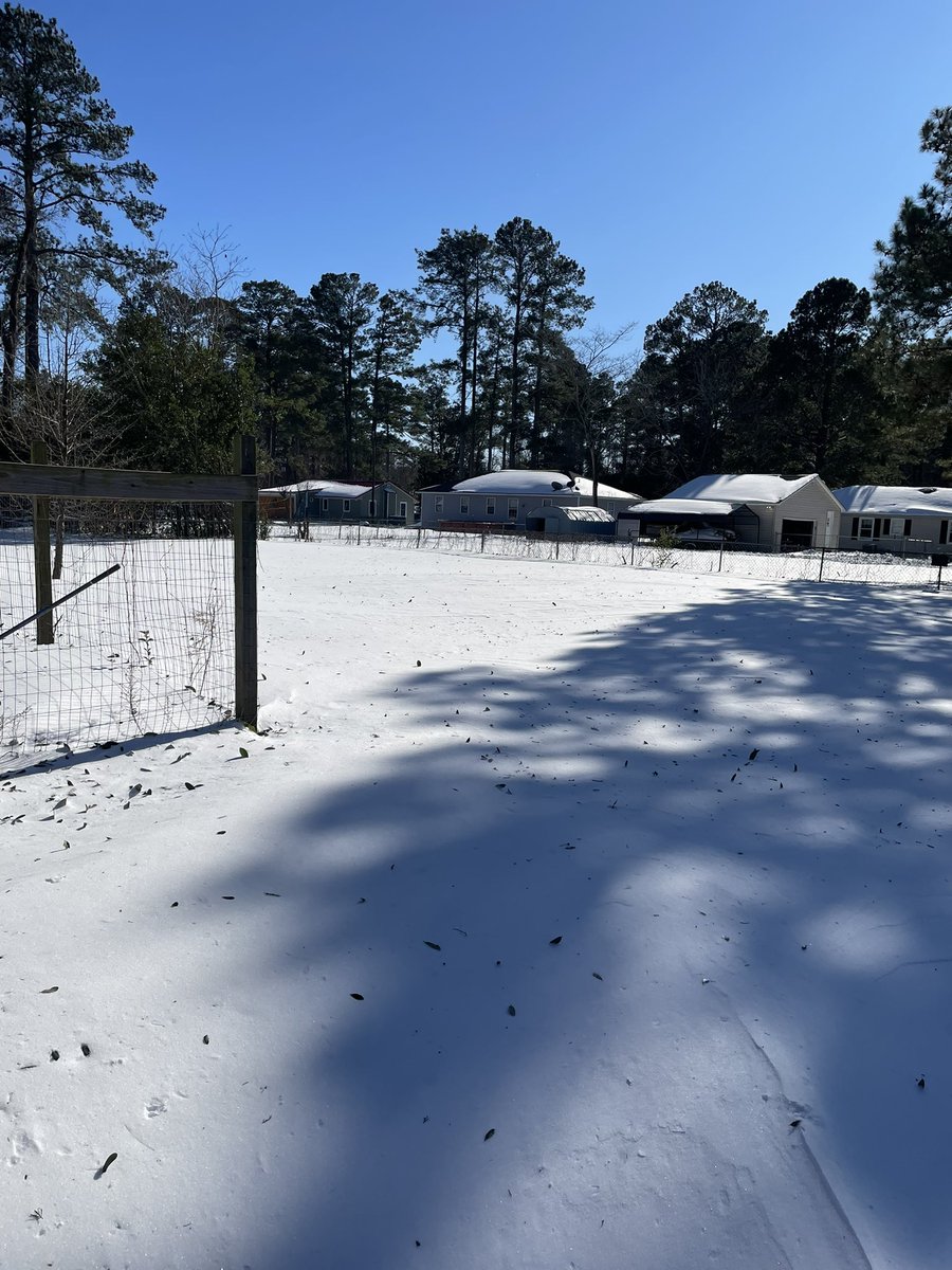 🐾Patch D Dalmatian🐾 tweet media