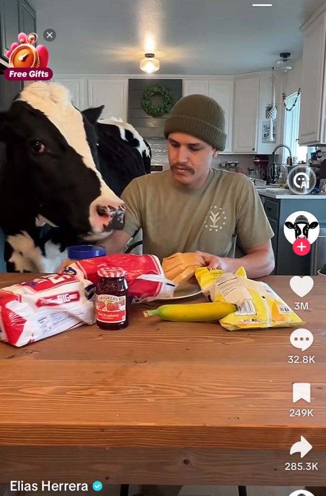 Womenbirds's tweet photo. Meanwhile in Texas, a guy literally shares meals with his cow daily https://t.co/zRJMTs0V6J