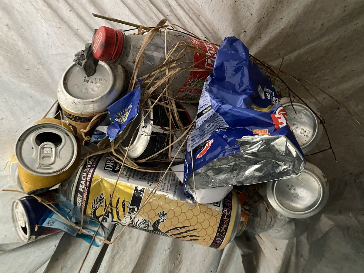 Martin Williamson tweet media