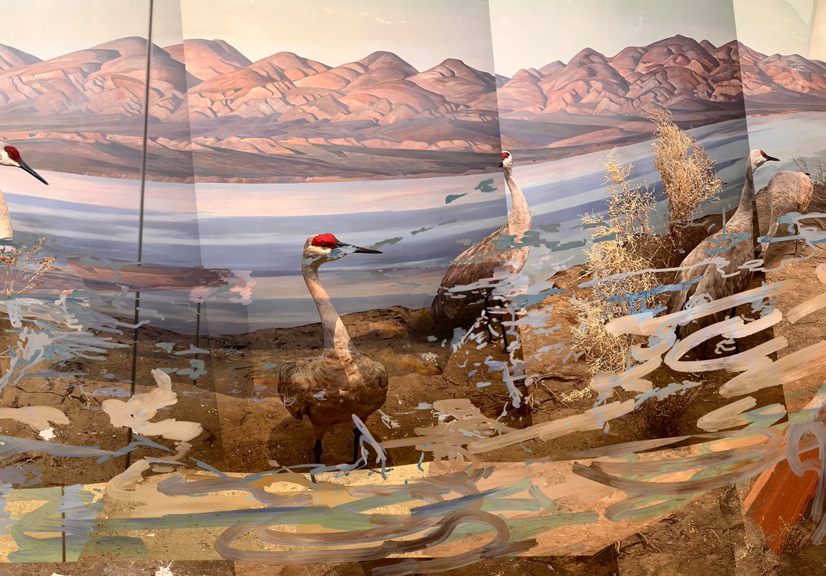 𝐿𝑒𝓎𝓁𝒶 tweet media