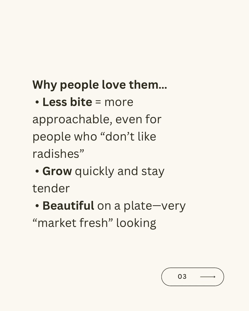 Have you ever tried French Breakfast Radishes?