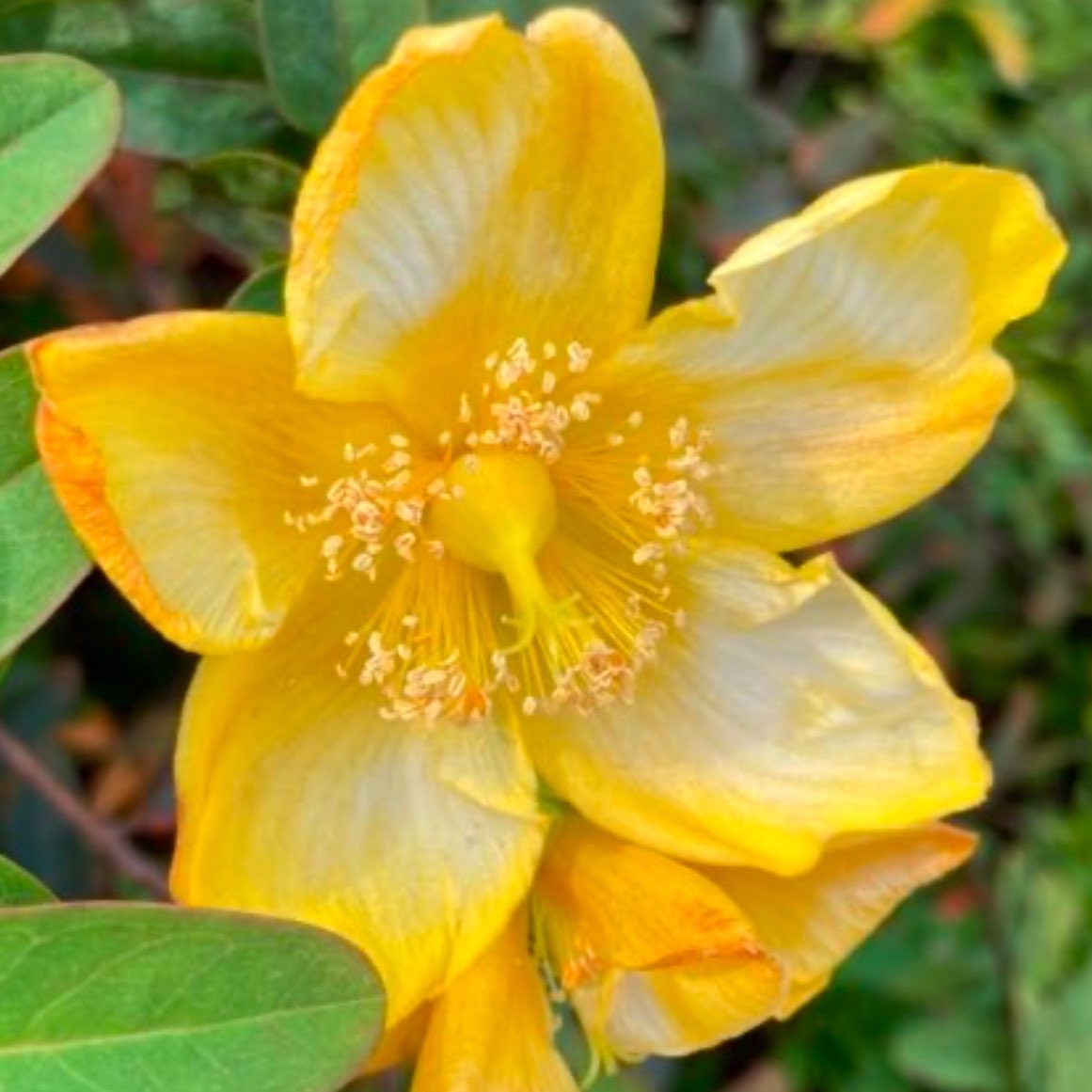 おはようございます🐰
今日もよろしくお願いします🧡