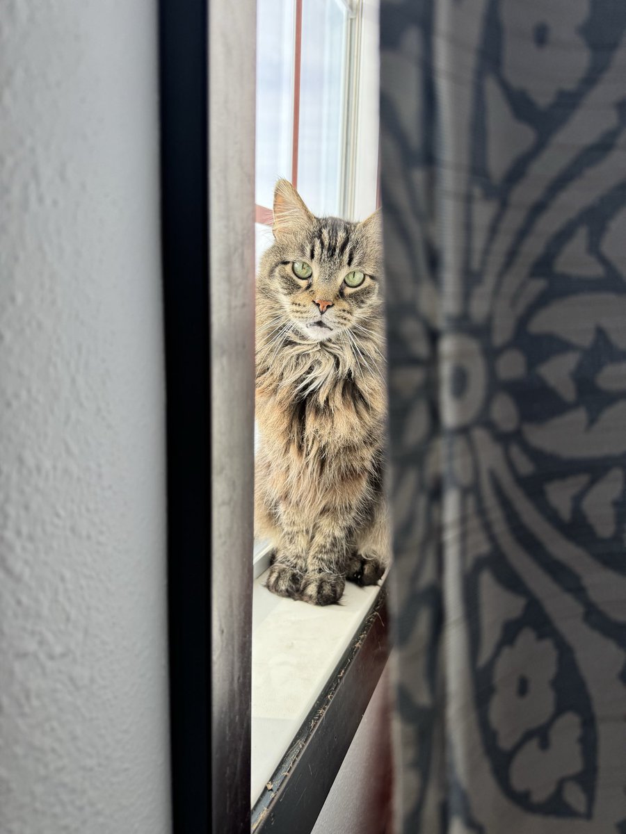 My Littlefoot just randomly be looking like a model sometimes🤷🏻‍♂️