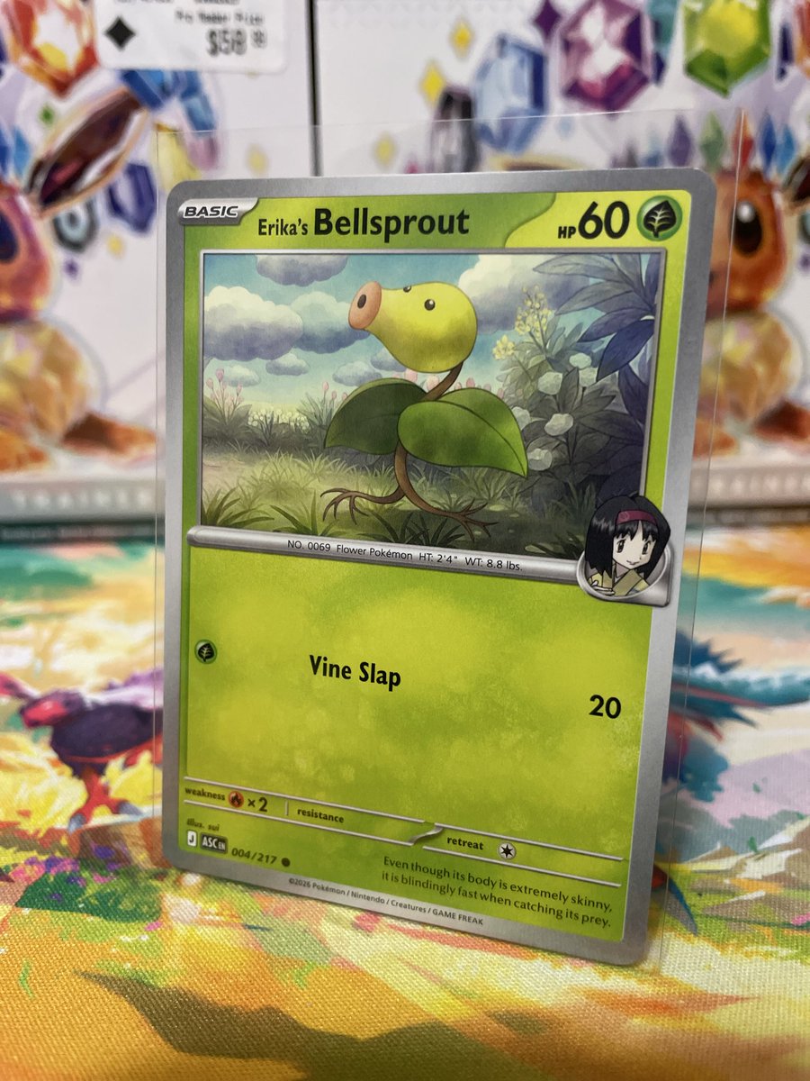 Bellsprout_Boss's tweet image. Finally found a few packs of Ascended Heroes today! 

And pulled the best card in the set! 🌱 

#Pokemon #Bellsprout #AscendedHeroes