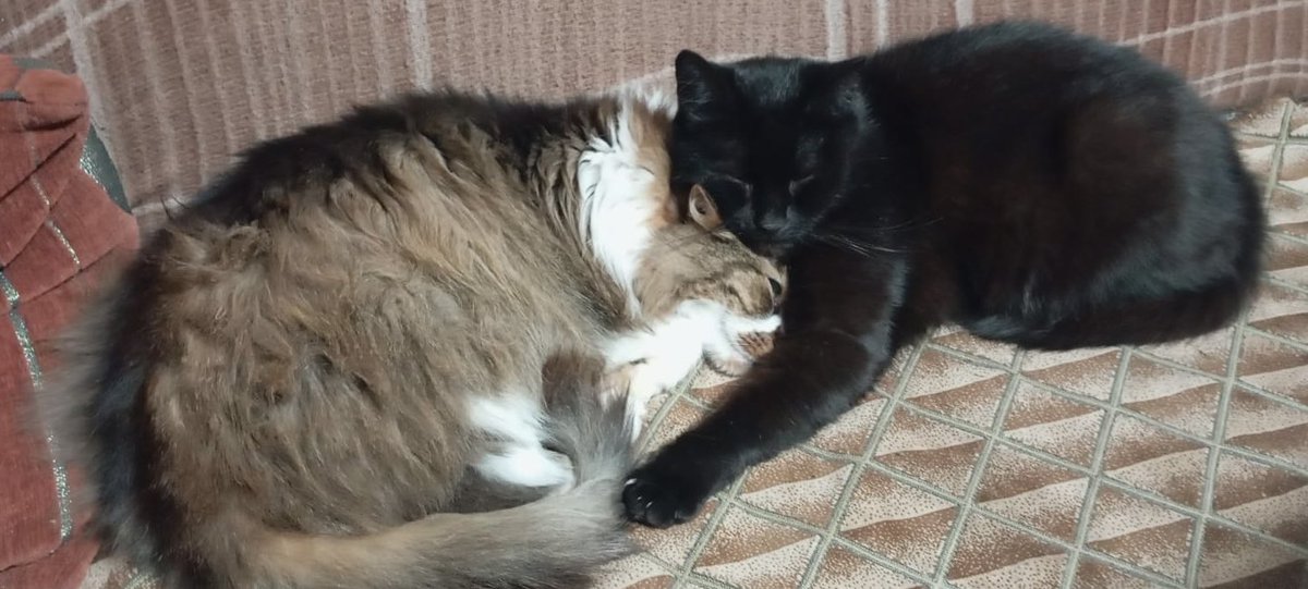 хлопцям тепло, радий за них