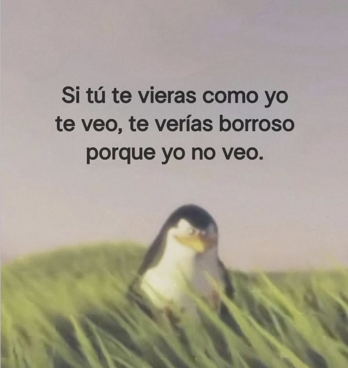 El Guarromántico tweet media