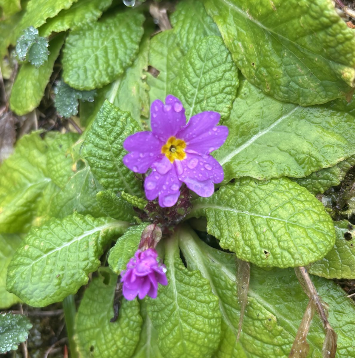 “Suçlamak, anlamaktan daha kolaydır. Çünkü anlarsan, değişmen gerekir.”
Peyami Safa