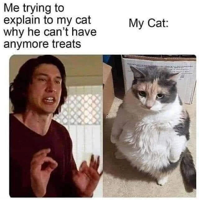 WholesomeMemes (@wholesomememe) on Twitter photo 