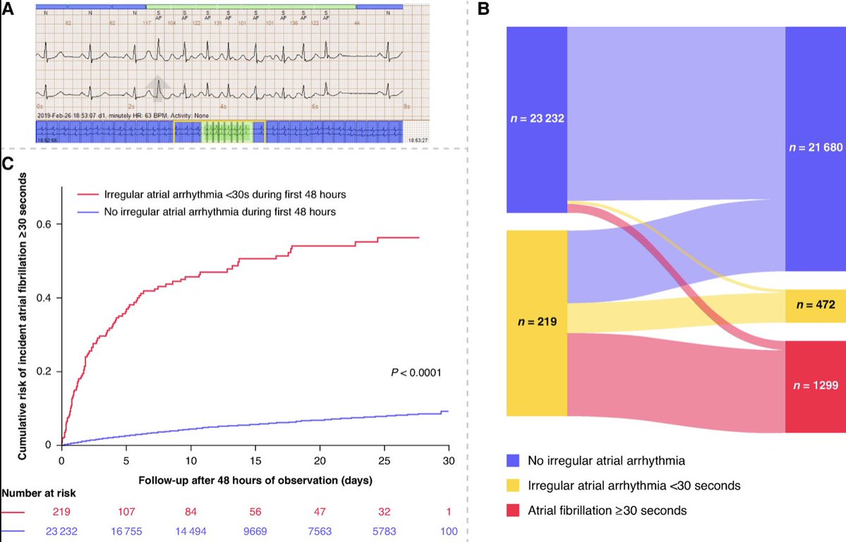 Europace Editor-in-Chief tweet media
