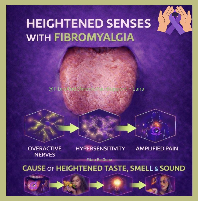 FibroBeGone's tweet photo. Fibromyalgia isn’t just pain.
An overactive nervous system can heighten taste, smell, light, and sound… turning everyday input into overload.
Regulation matters. 💜
 https://t.co/oFifWvW6eL https://t.co/7wODxSs7ZE