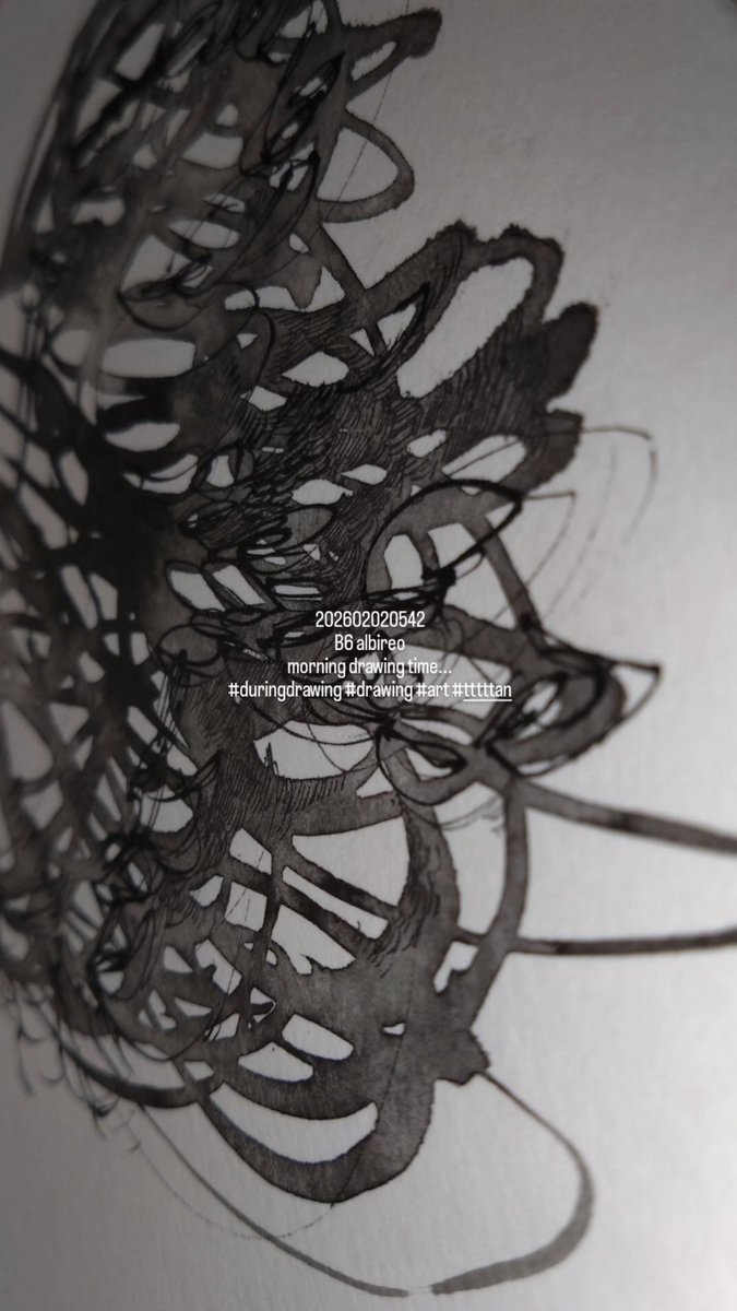 202602020542 B6 albireo morning drawing time #duringdrawing