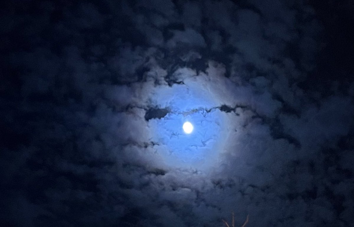 1 Feb. Under the moon