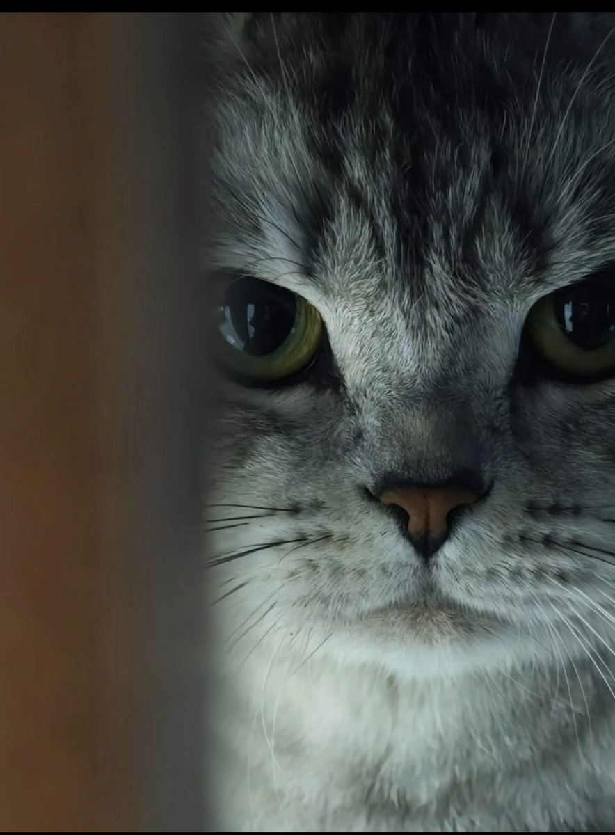 Gaagaa1111's tweet image. 