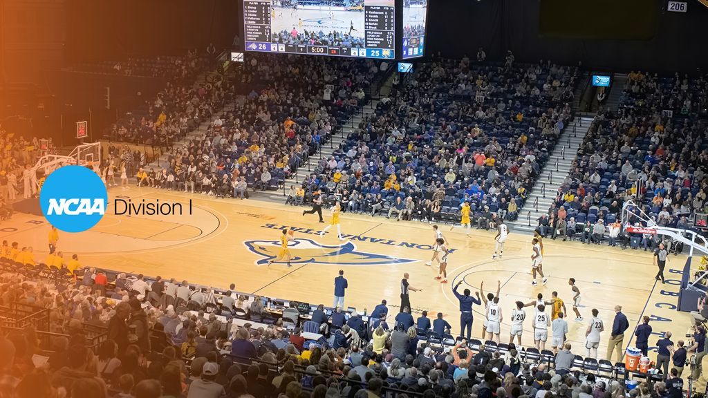 Expo Hoops tweet media