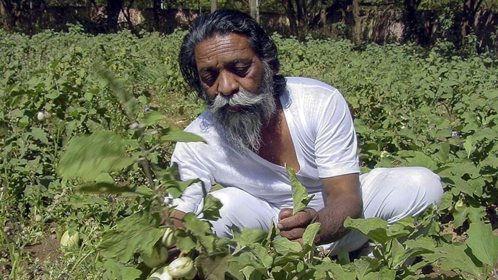 झारखंड निर्माता दिसा़म गुरु #शिबू_सोरेन यूनिवर्सिटी भी बनाया जाना चाहिए।।।।।।

  तीसरी गिरिडीह में !! शिक्षा लेने के लिय बहुत दूर जाना पड़ रहा हे !!
     <a href="/HemantSorenJMM/">Hemant Soren</a> 
<a href="/JharkhandCMO/">Office of Chief Minister, Jharkhand</a> 
<a href="/yourBabulal/">Babulal Marandi</a> <a href="/MundaArjun/">Arjun Munda</a> 
<a href="/KunalSarangi/">Kunal Sarangi 🇮🇳</a> <a href="/mlanizamuddin09/">निजाम उदीन अंसारी JMM</a> <a href="/IrfanAnsariMLA/">Dr. Irfan Ansari</a> <a href="/JmmJharkhand/">Jharkhand Mukti Morcha</a> @