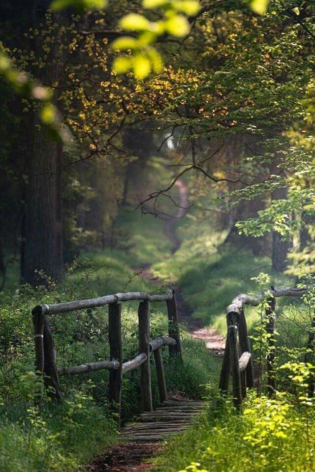 NaturalEye78321's tweet image. 