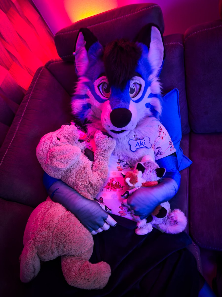 Aki (@akithepup) / Posts / X