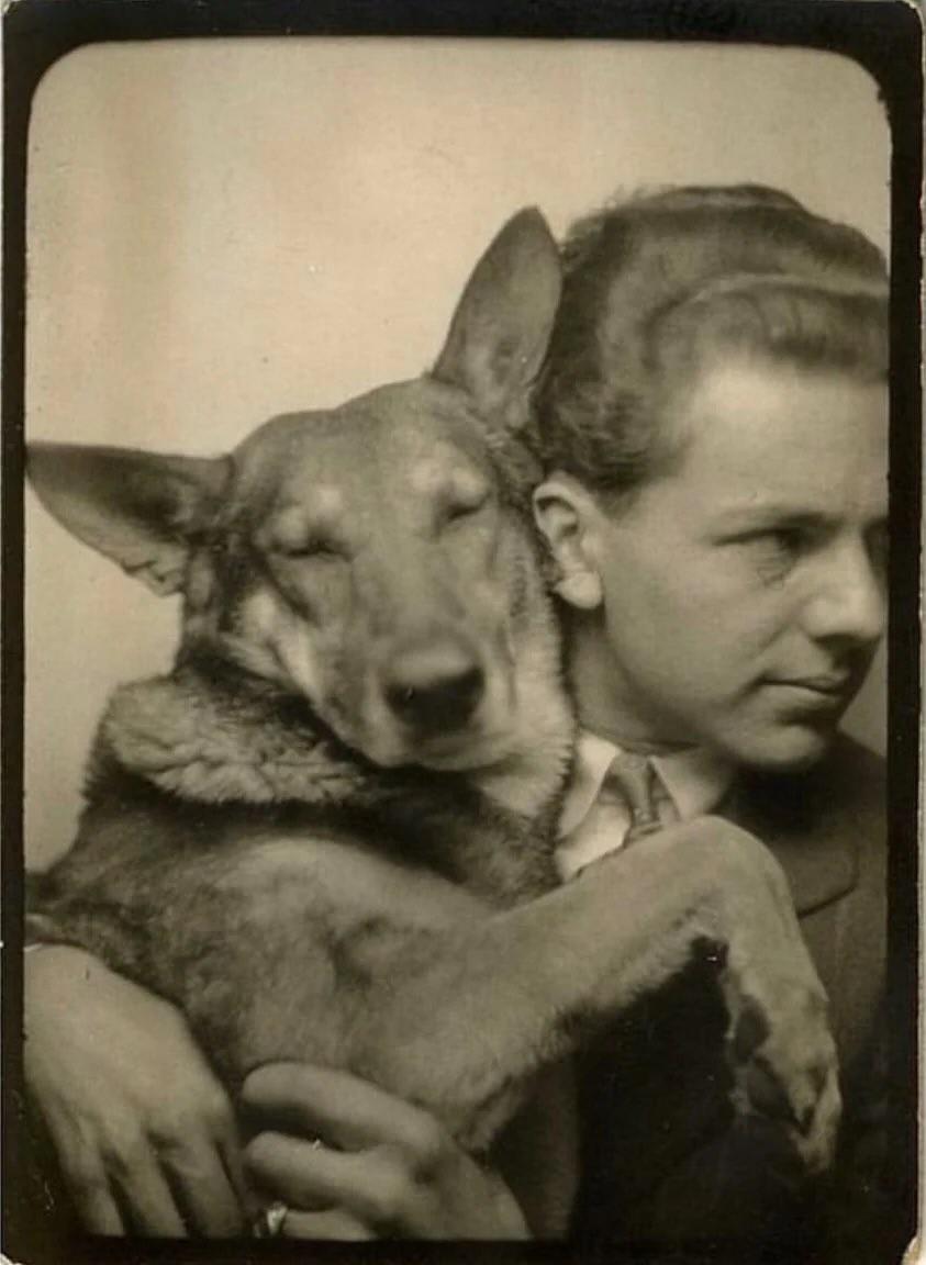 Wholesome Side of 𝕏 tweet media