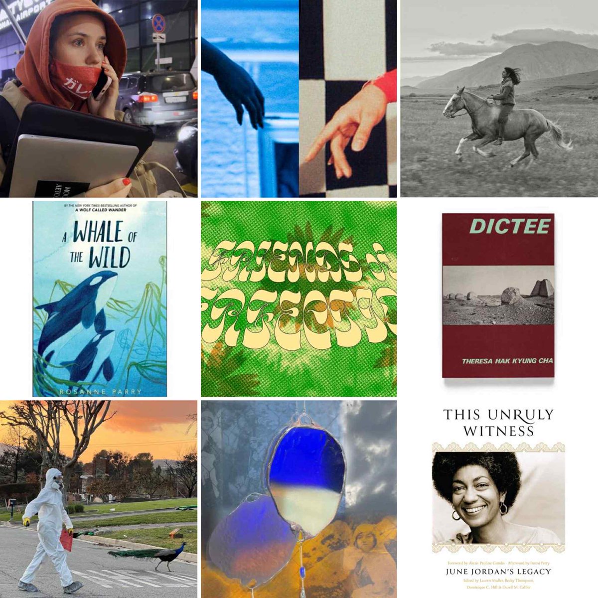 Terry Taplin🚰🏳️‍🌈🥑🌹🚲🚍✍️🏾 tweet media