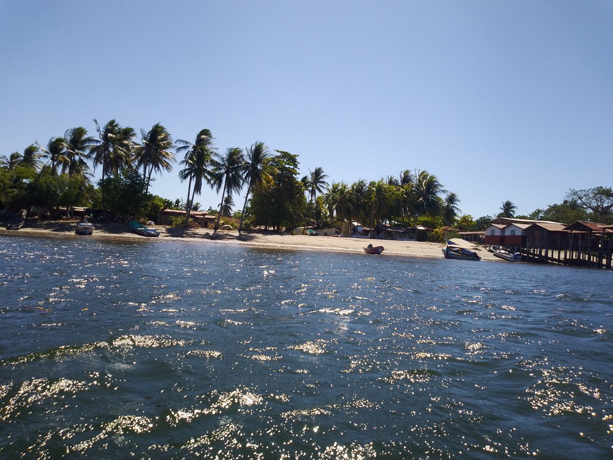 Bitcoin La Pirraya tweet media