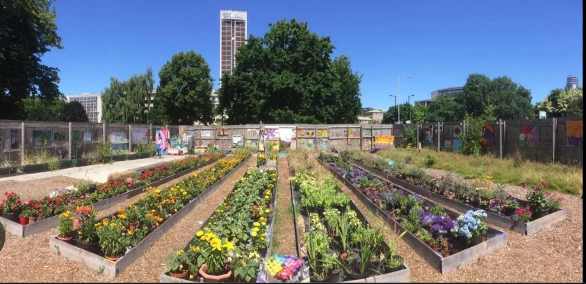 Cronx Cliff tweet media