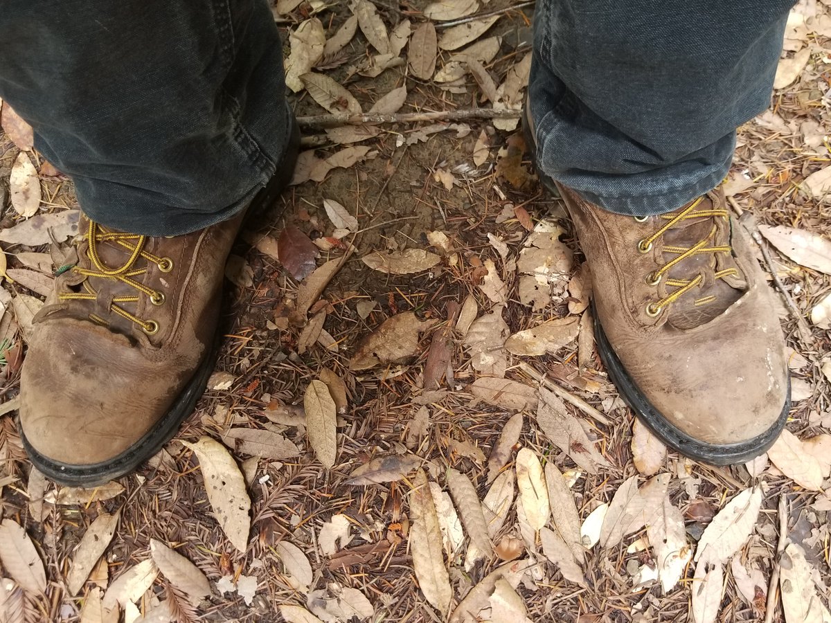 𝟟𝟟𝟟 🐐🇬🇪🇨🇬 tweet media