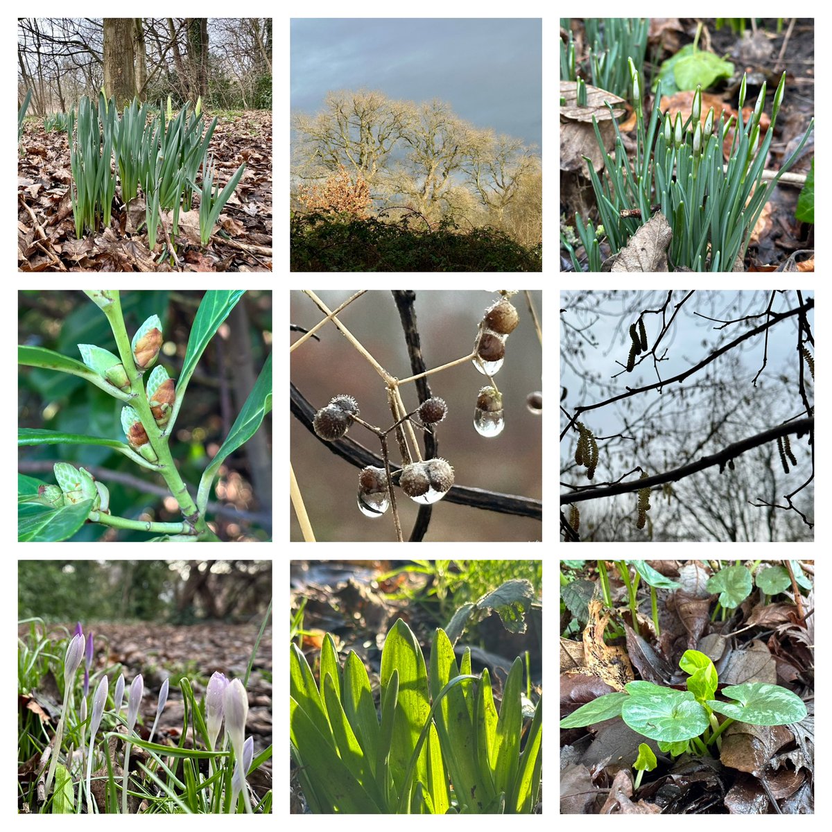 Jay Up North tweet media