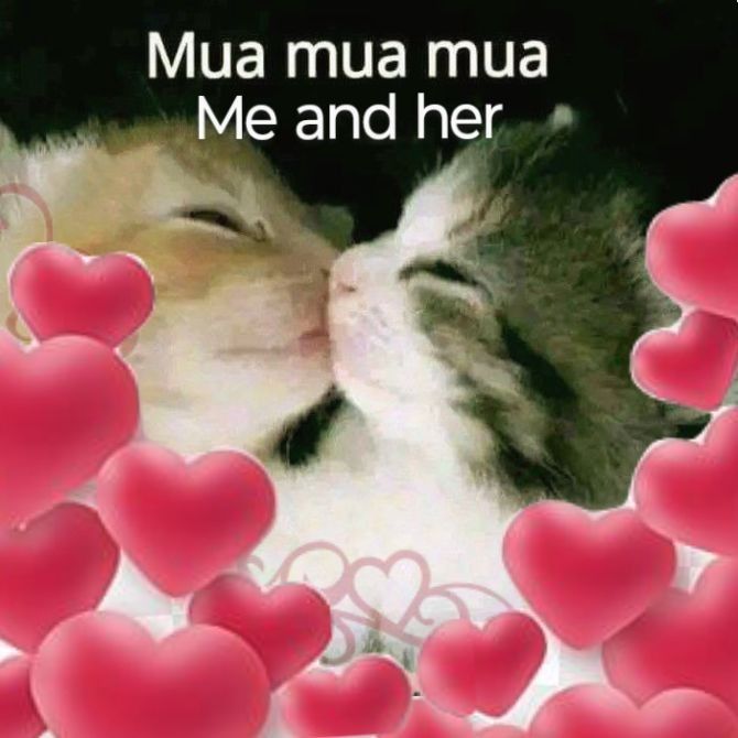 lesbicas (@cclesbicas) on Twitter photo 