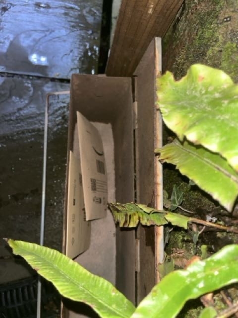 Gary Smith tweet media