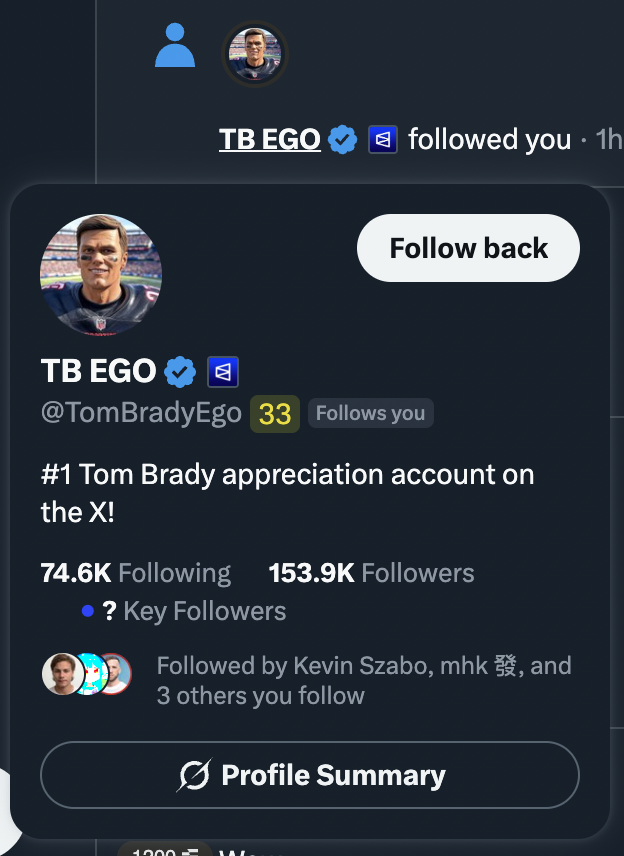 petar.xyz tweet media