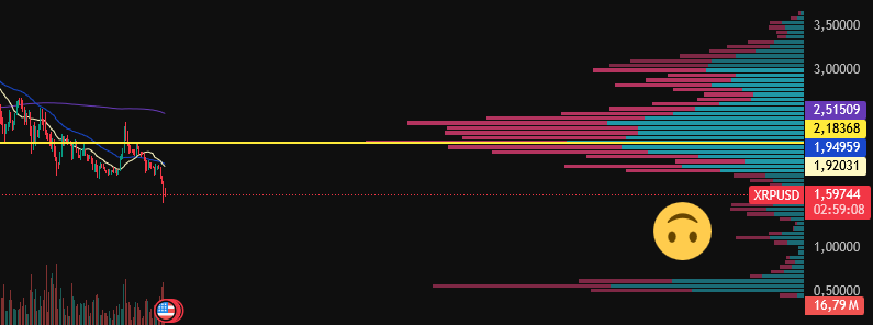 cestercrypto's tweet image. 