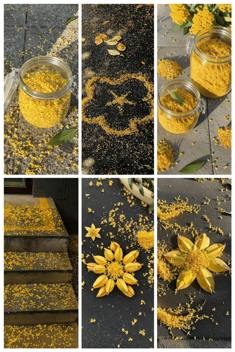 hari52013719's tweet image. " Community Clean-Up Day! Sat, 10AM at Maple Park. Grab gloves, bring friends—let’s spruce up our neighborhood together! Snacks + reusable bags provided. Tag who you’re bringing! #NeighborhoodLove #LocalGood"