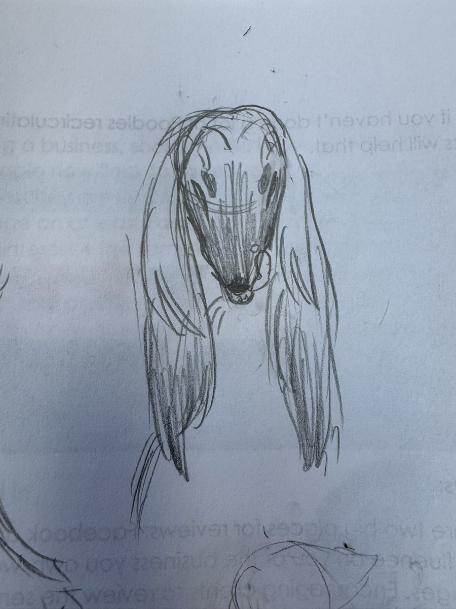 Rex 🪼 tweet media