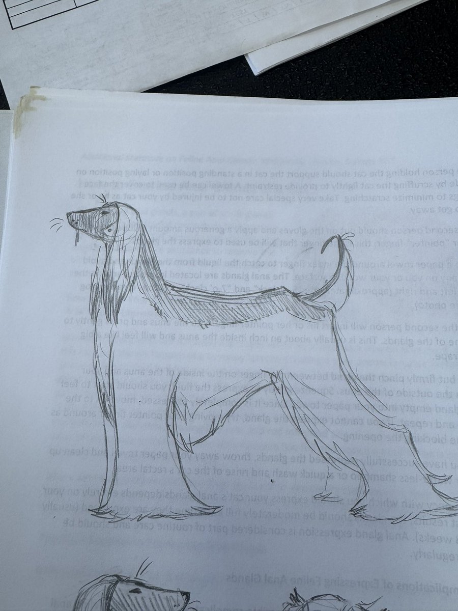 Rex 🪼 tweet media