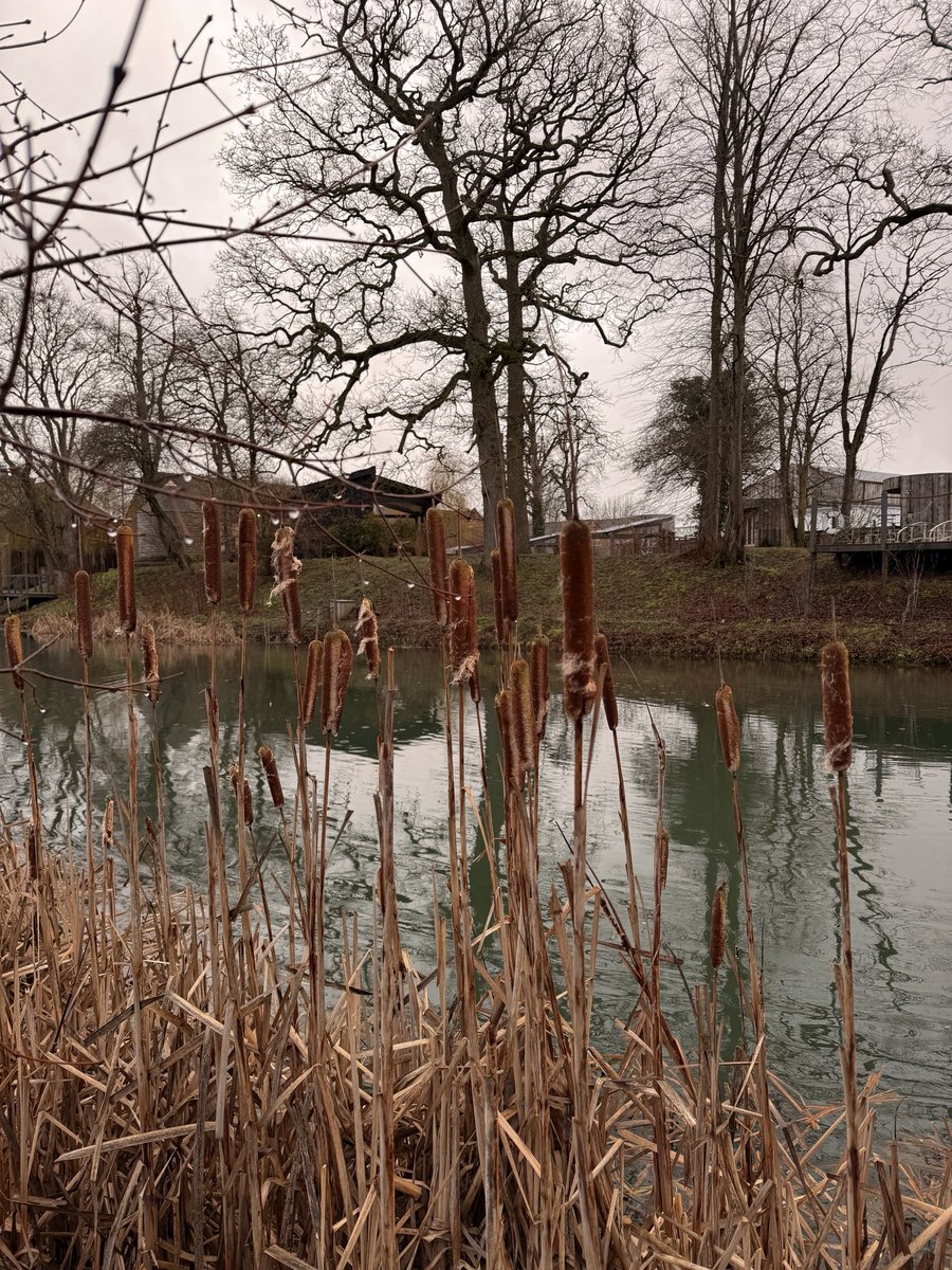 RYAN-MARK tweet media