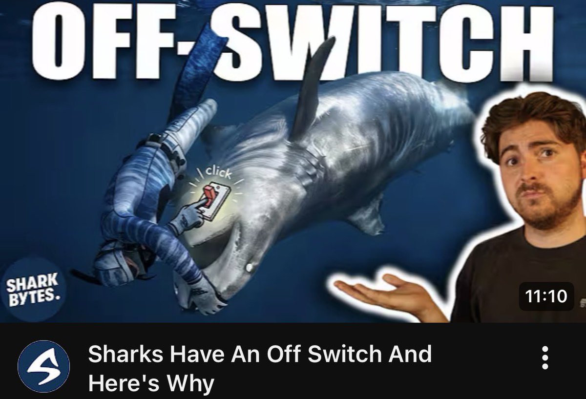 BRAND NEW #SHARKBYTES! Have you ever wondered why sharks can seemingly be flipped upside down into a trance? Why would an apex predator evolve such a strange trait? Well come and find out exactly why via the Shark Bytes homepage here: youtube.com/@sharkbytes?si…