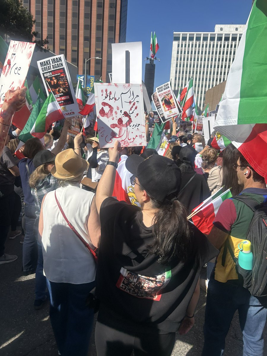RoshaniReza's tweet photo. #LAprotest https://t.co/NE9A1kXvEM