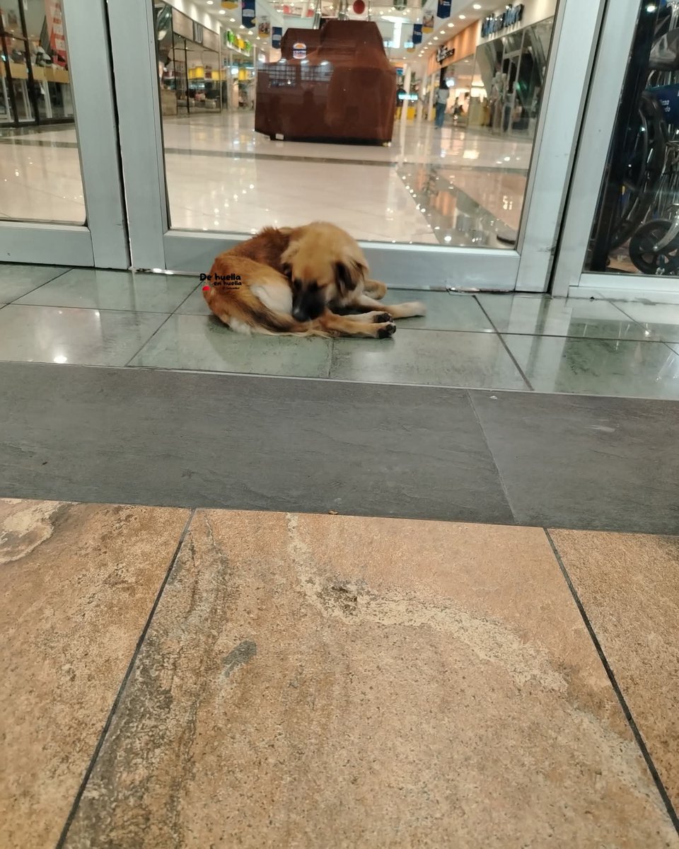 Lyss 🇸🇻 tweet media