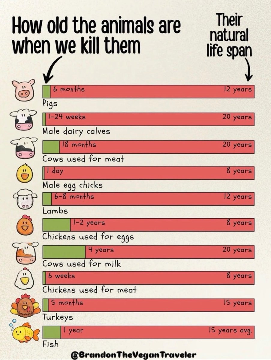 Why Aren't You Vegan? tweet media