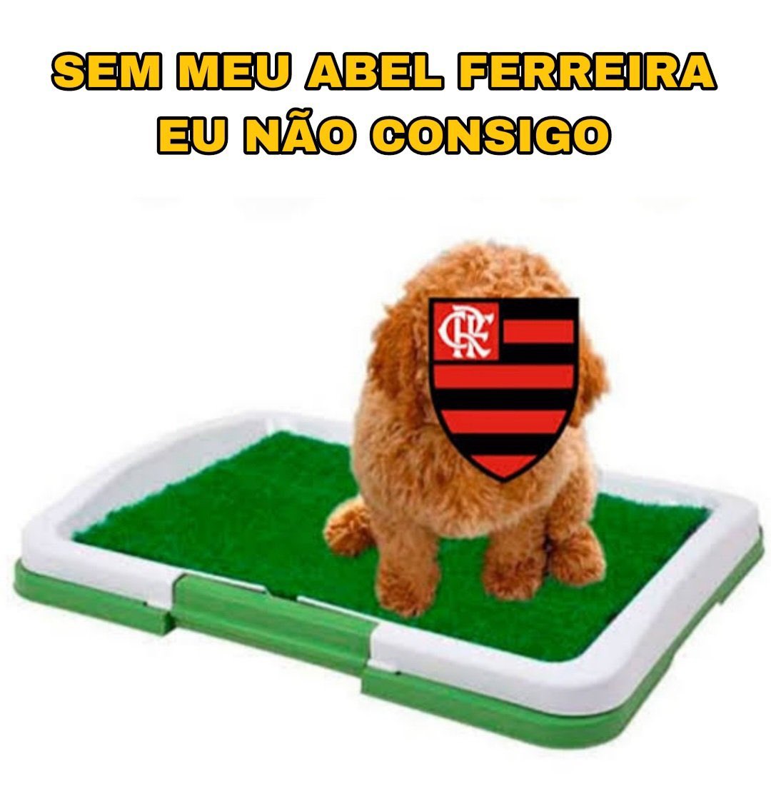 Palmeiras da Depressão (@deprepalmeiras) on Twitter photo 