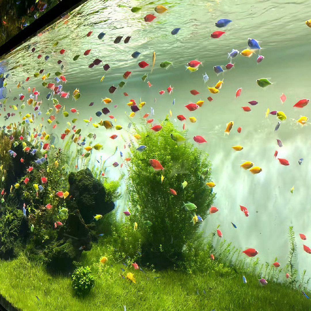 ᅠ ᅠ (@greendreaams) on Twitter photo 