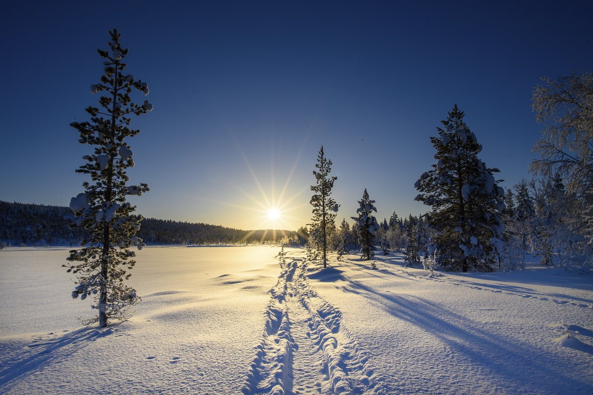 Transun's tweet image. It's February in Lapland! ❄️ Although temps are still icy and snow cover is at its thickest, polar night has come to an end – and the sun is BACK! ☀️ At first for minutes, but growing rapidly each day. Discover more about how Arctic winter unfolds here 👉 transun.co.uk/destination/fi…