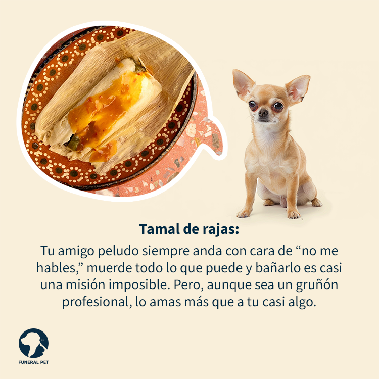 funeralpetmx's tweet photo. Si te tocaron los tamales tómalo con humor y descubre de qué sabor sería tu mascota. 🐱🐶🤣

#tamales #candelaria #mascotas #personalidades https://t.co/XWR6U8uMpd