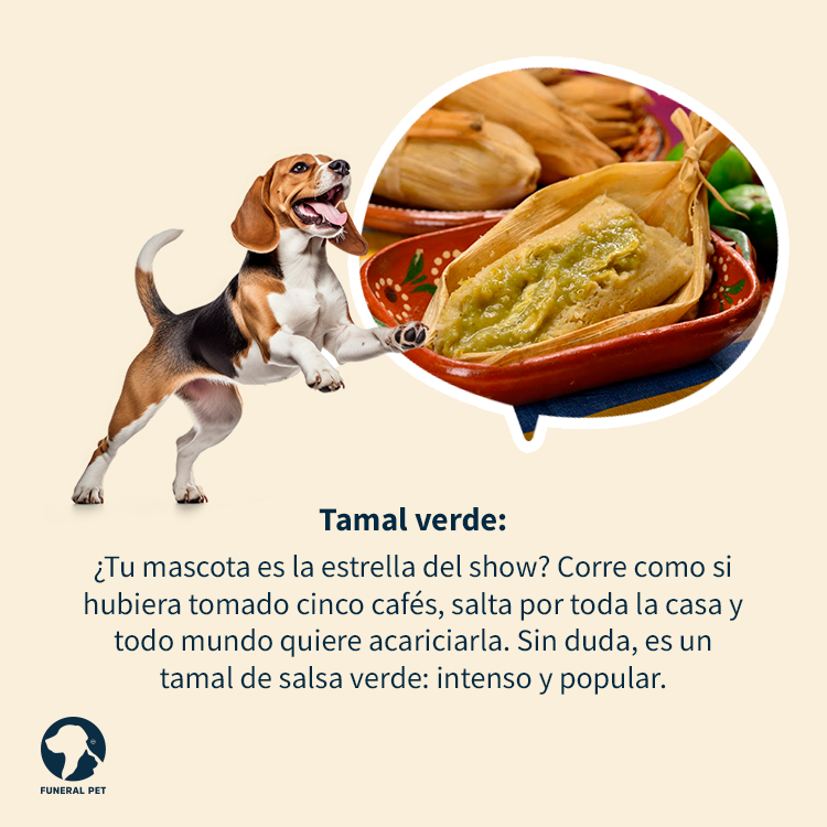 funeralpetmx's tweet photo. Si te tocaron los tamales tómalo con humor y descubre de qué sabor sería tu mascota. 🐱🐶🤣

#tamales #candelaria #mascotas #personalidades https://t.co/XWR6U8uMpd