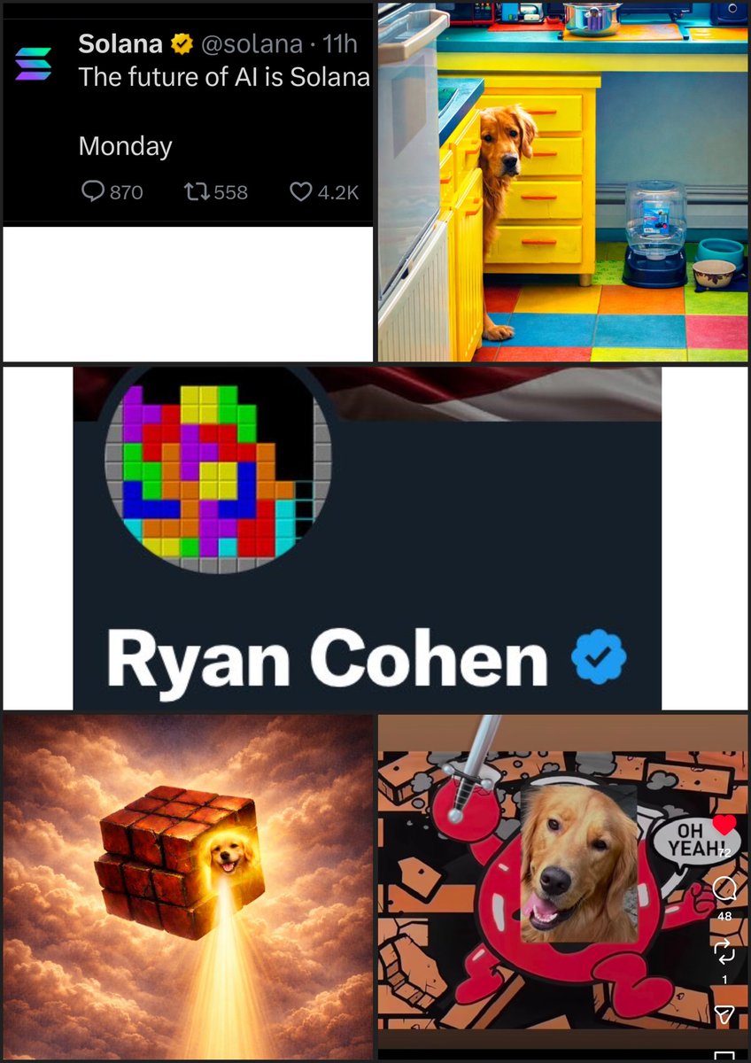 The Prophetic Outlaw tweet media