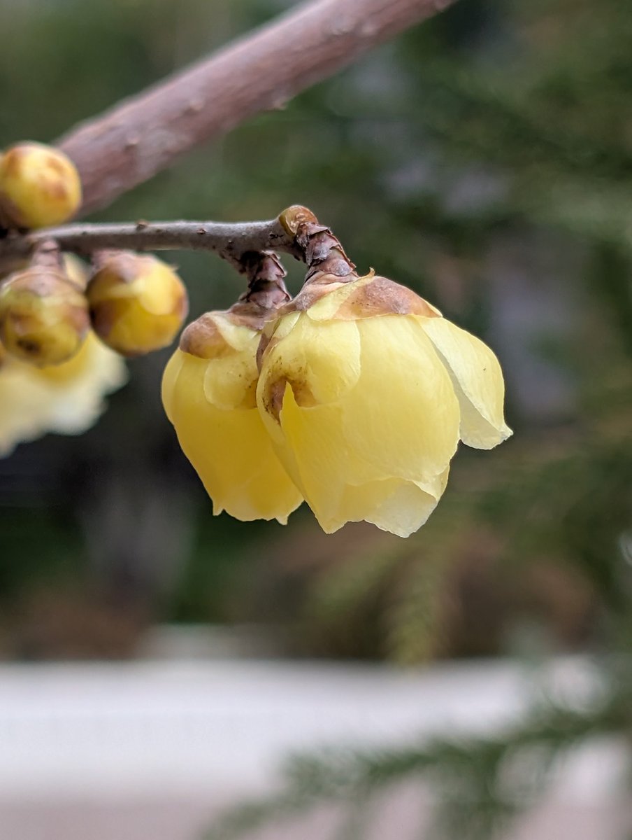 ハイジ (@haiji1010) / Posts / X