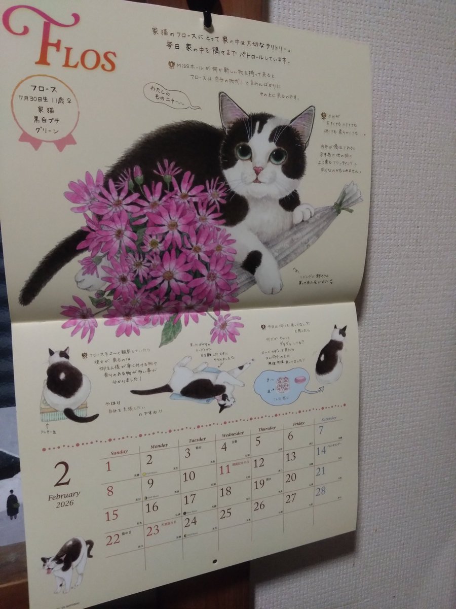 m_um_u (@m_um_u) / Posts / X