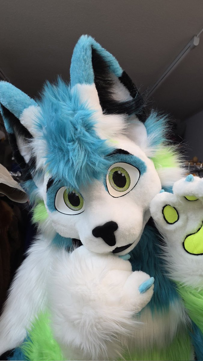 Whitewing Creations tweet media