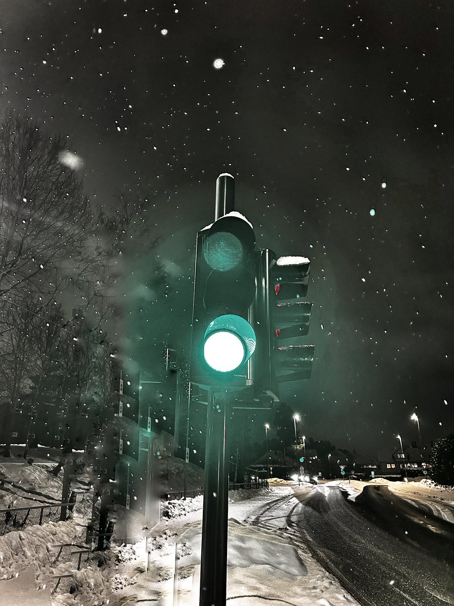 Green light in a world of winter silence.