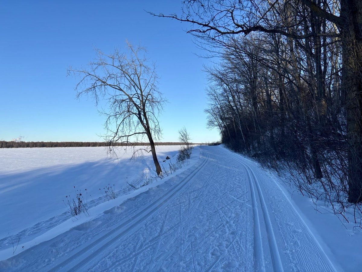 Tjorven Bellmann & Matthias Lüttenberg tweet media